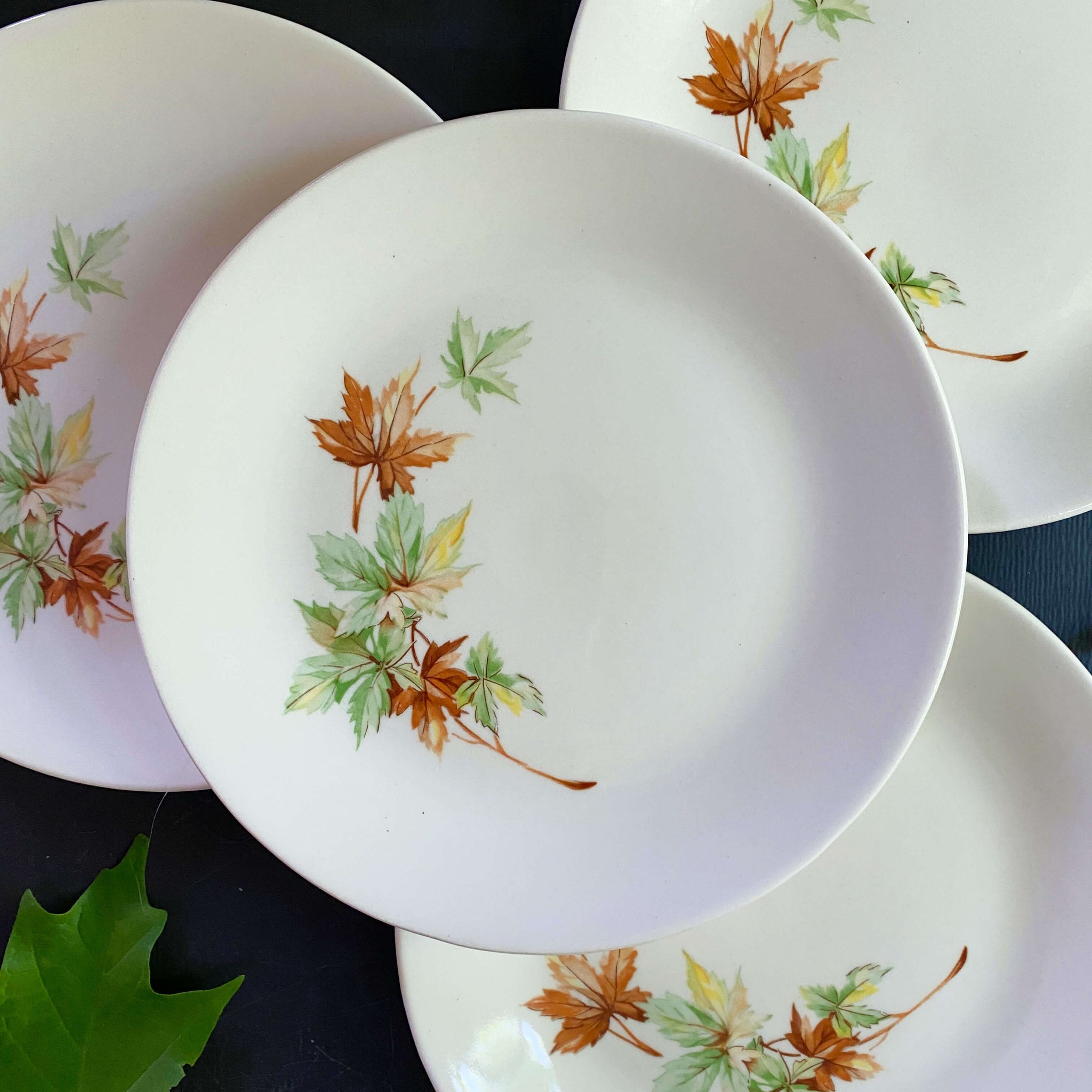 Vintage Maple Leaf Bread and Butter Plates by Salem China Co circa
