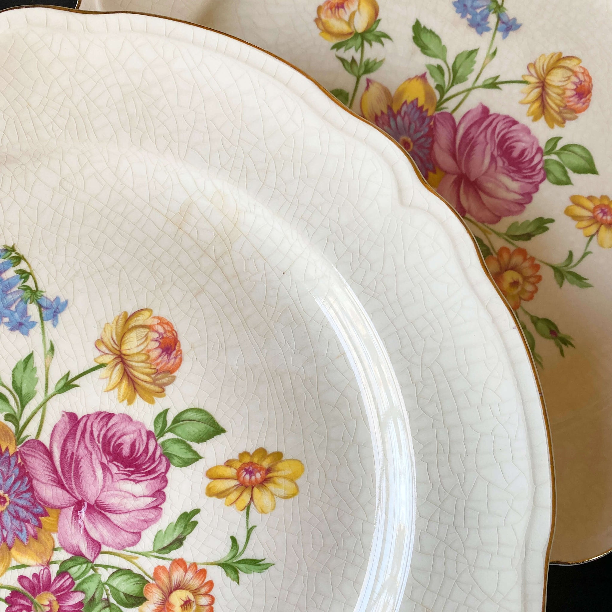 Vintage 1950s Multifloral Dinner Plates by Edwin Knowles - Set of Five