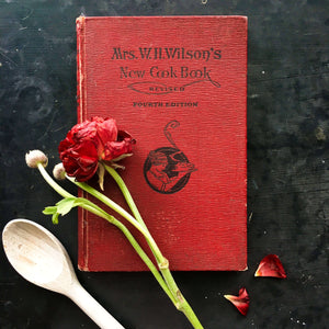 1920's Cookbook - Mrs Wilson's New Cook Book by Betty Lyles Wilson - 1920 Edition, 4th Printing - Very Rare Antique Cookbook