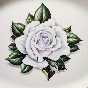 Homer Laughlin Windsor Rose Platter -1950's White Rose and Gold Filigree Platter - Liberty Shape G51 N6